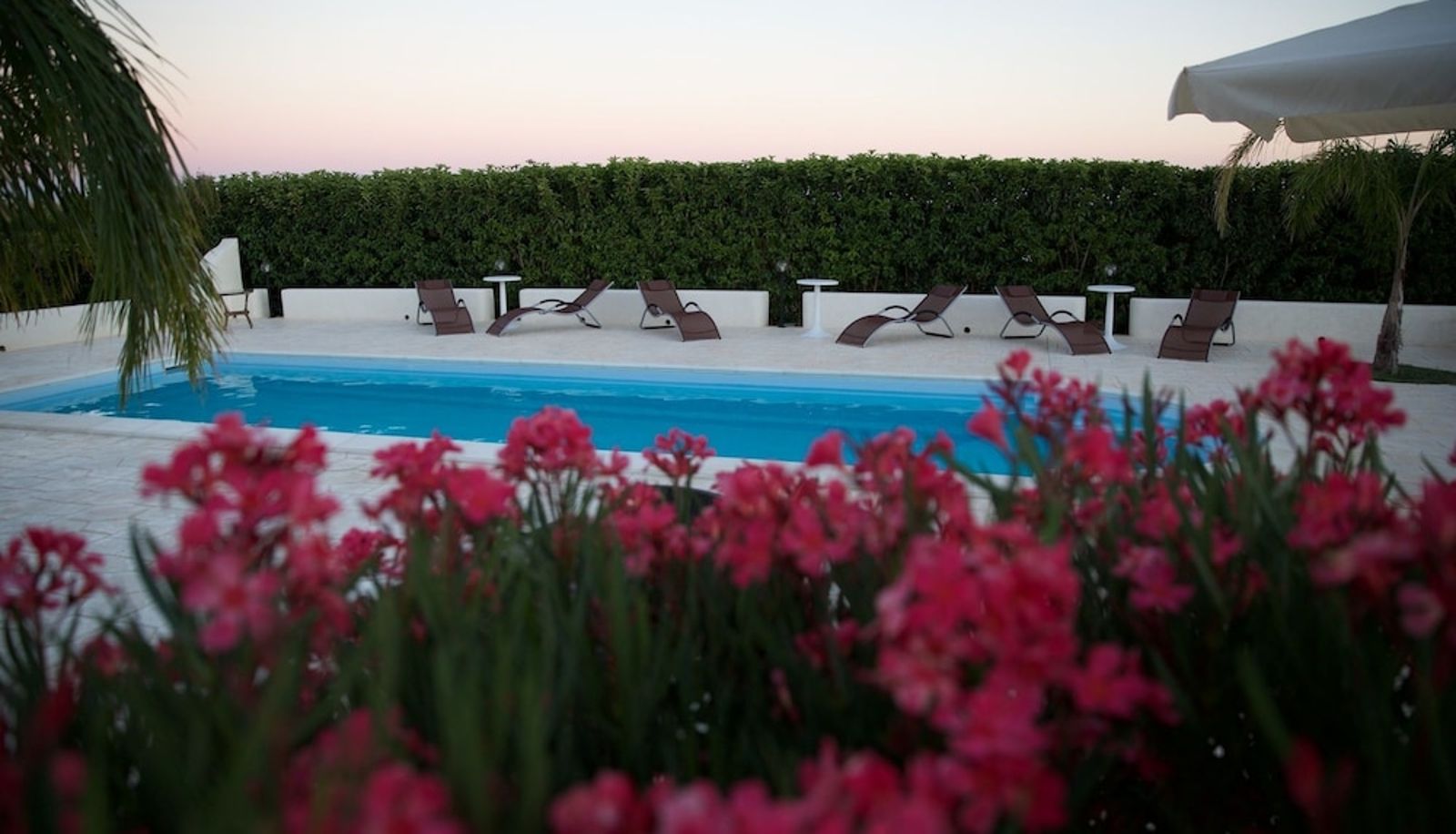 Pool - Le Zarafe