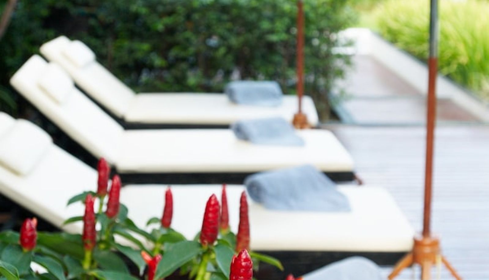 Piscine - Aruntara Riverside Boutique Hotel