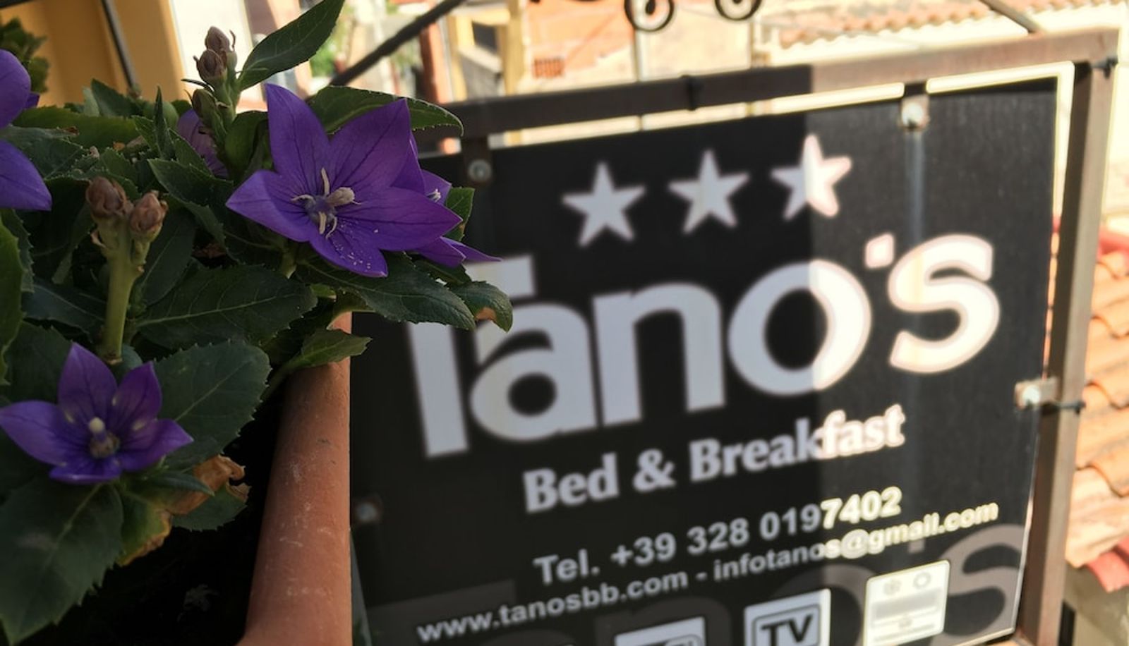 Terrasse - Tano's
