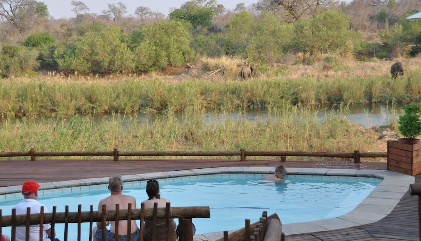Pool - Sabie River Bush Lodge