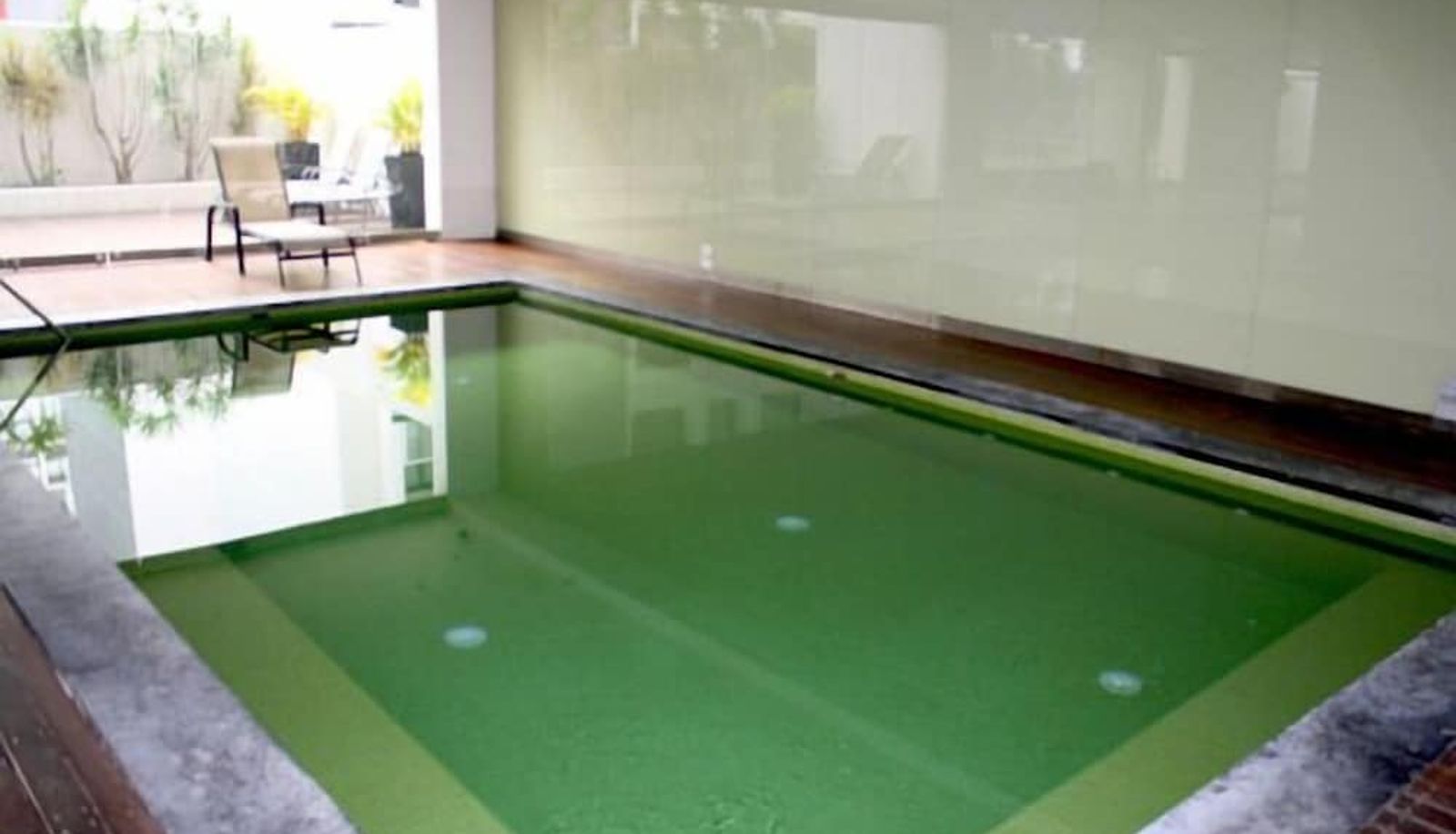 Pool - Wyndel Apartments - Abode