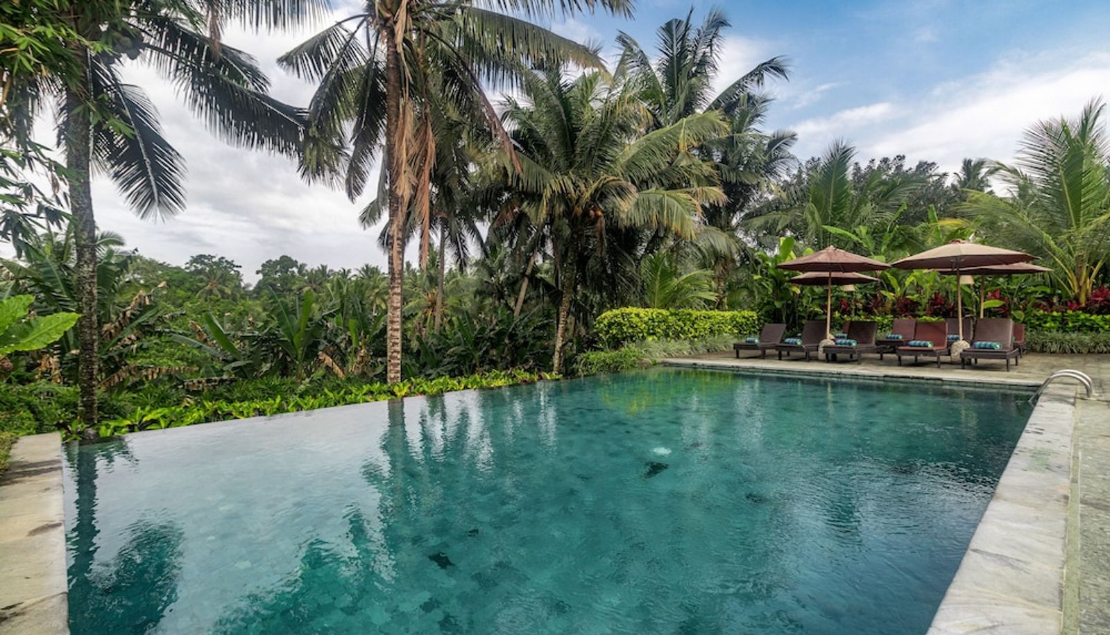 Pool - Pertiwi Bisma Ubud