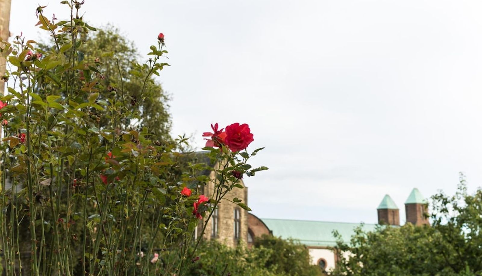 Garden - The Mirfield Monastery