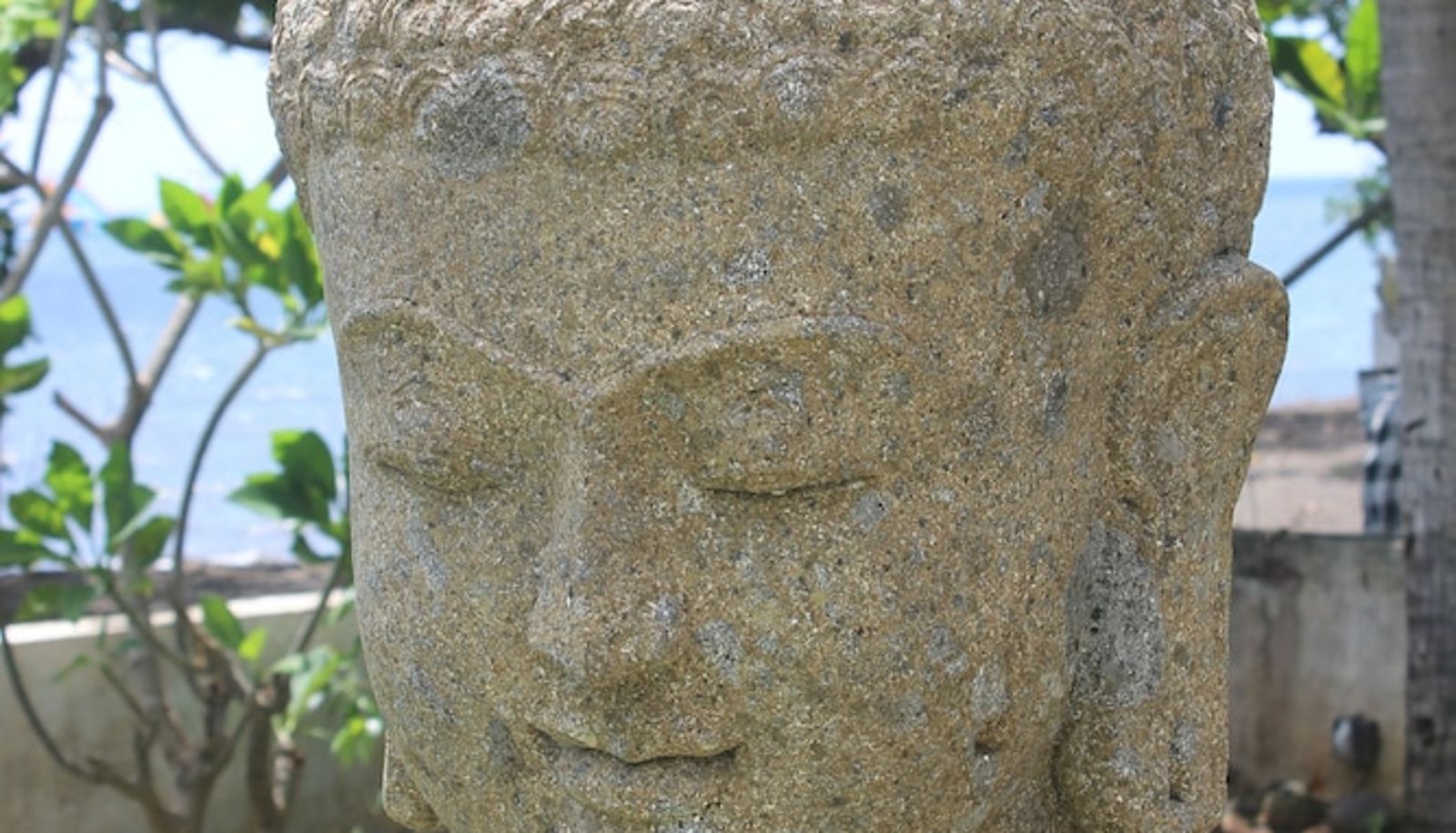 Garten - Frangipani Beach Hotel
