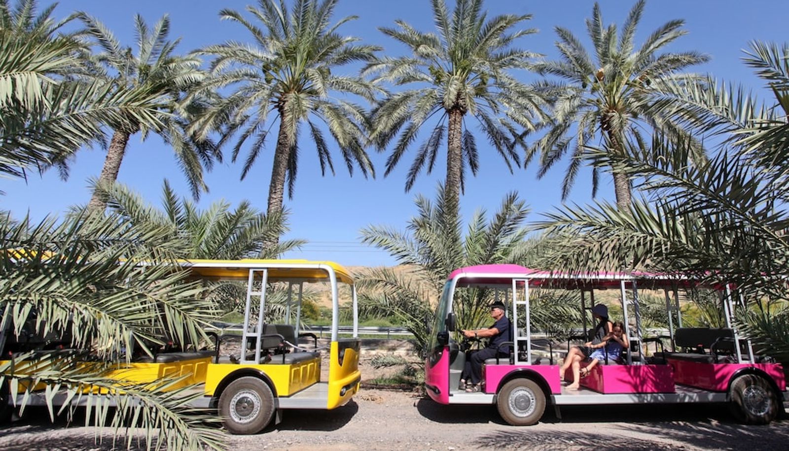 Info - Ein Gev Holiday Resort