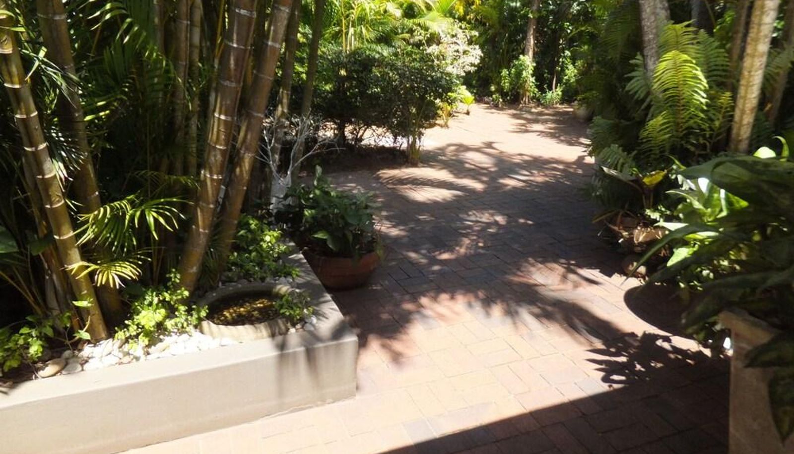 Environs - St. Lucia Kingfisher Lodge