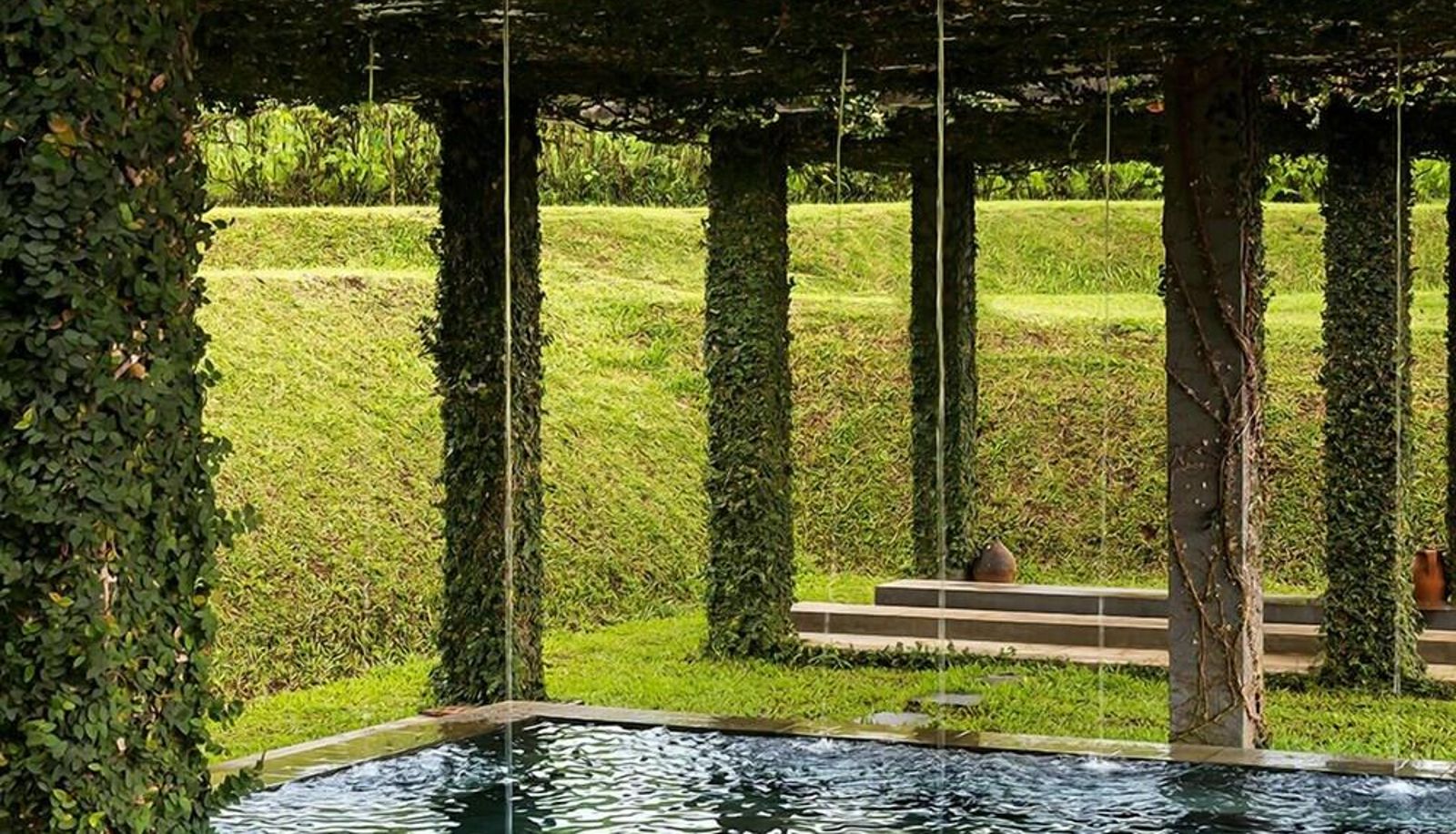 Environs - Tea Garden Resort