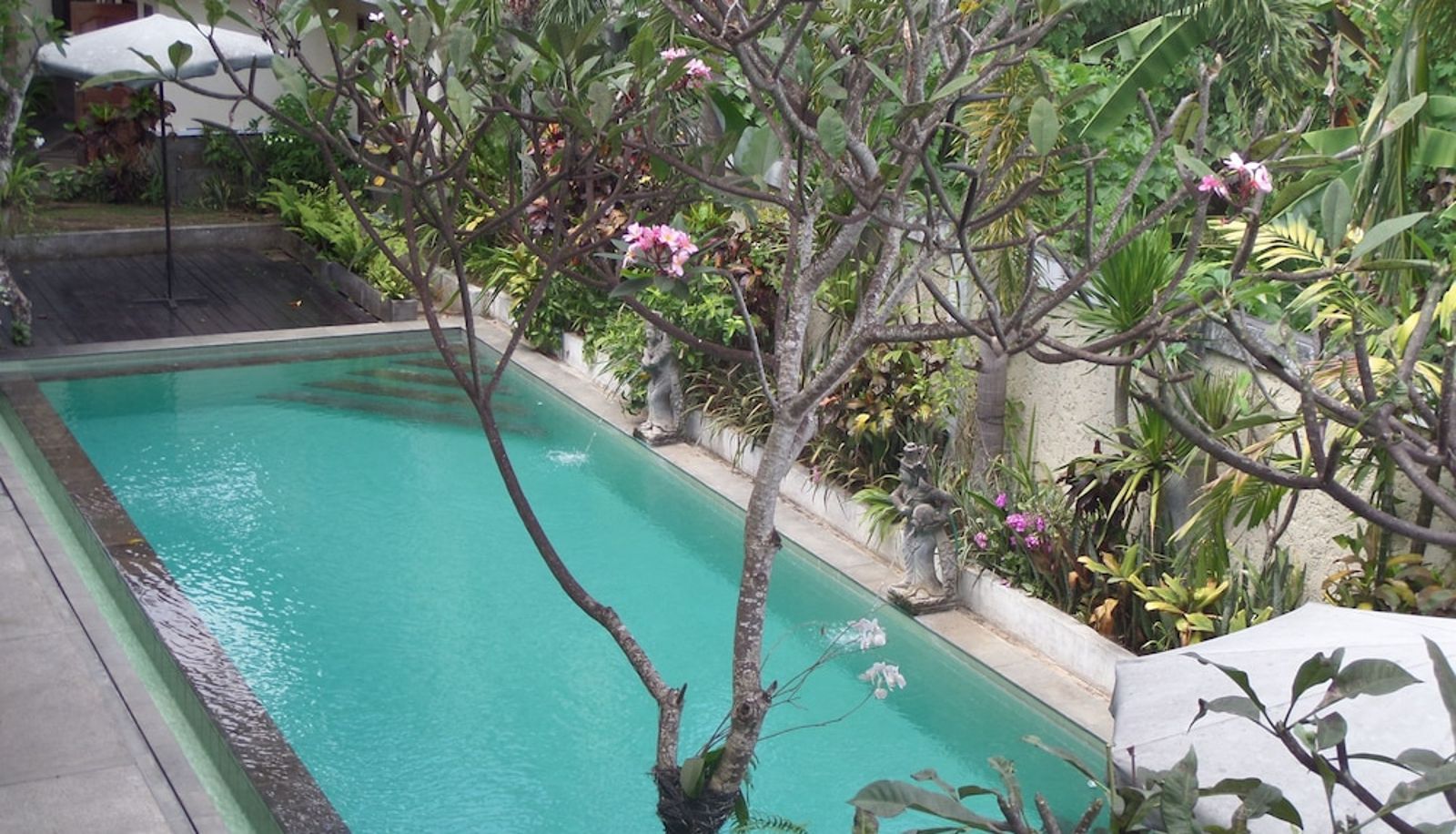 Pool - Aniniraka Resort & Spa