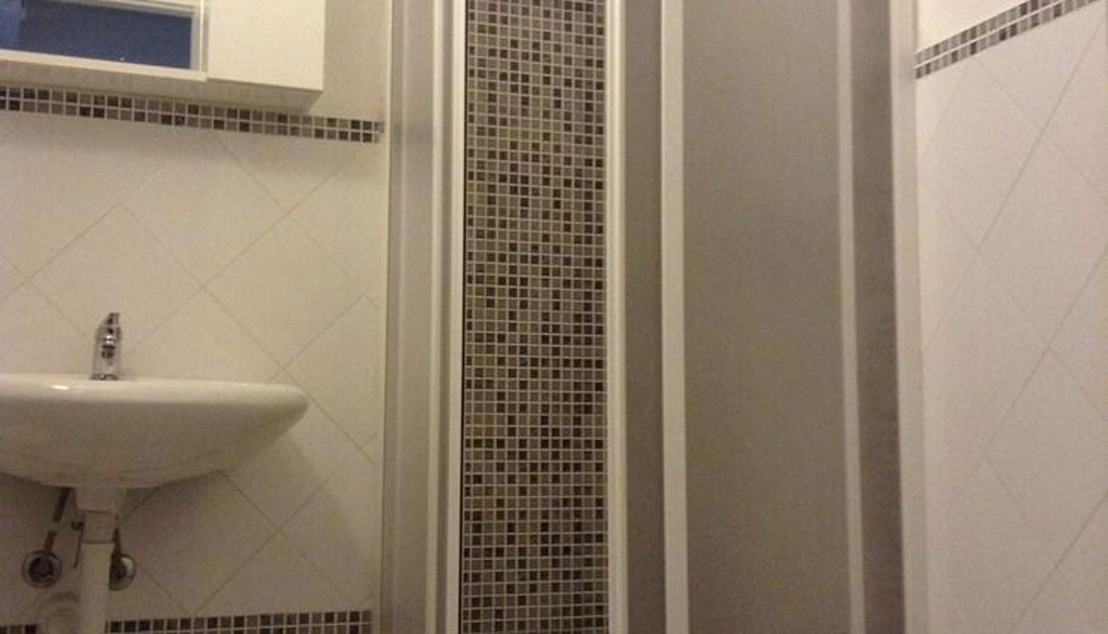 Appartamento - Loft Regio Parco