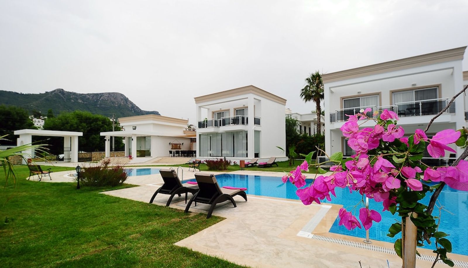 Pool - Delita Hotel Golturkbuku