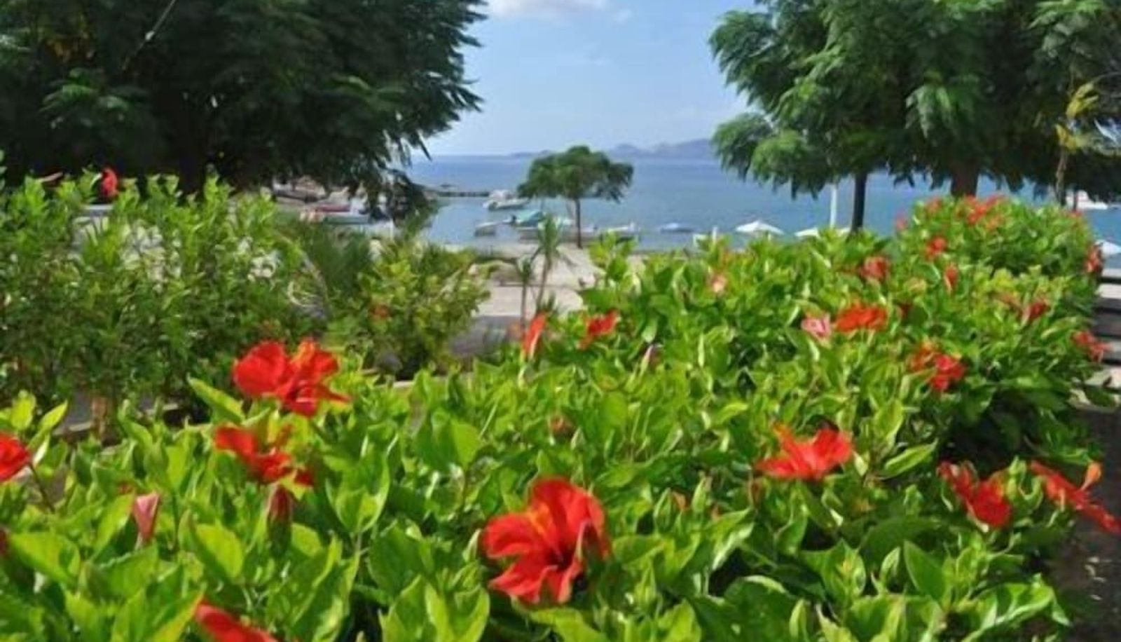 Jardin - Haraki Mare Studios & Apartments