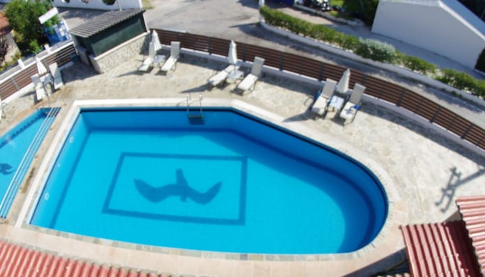 Piscina - Hotel Sea Bird
