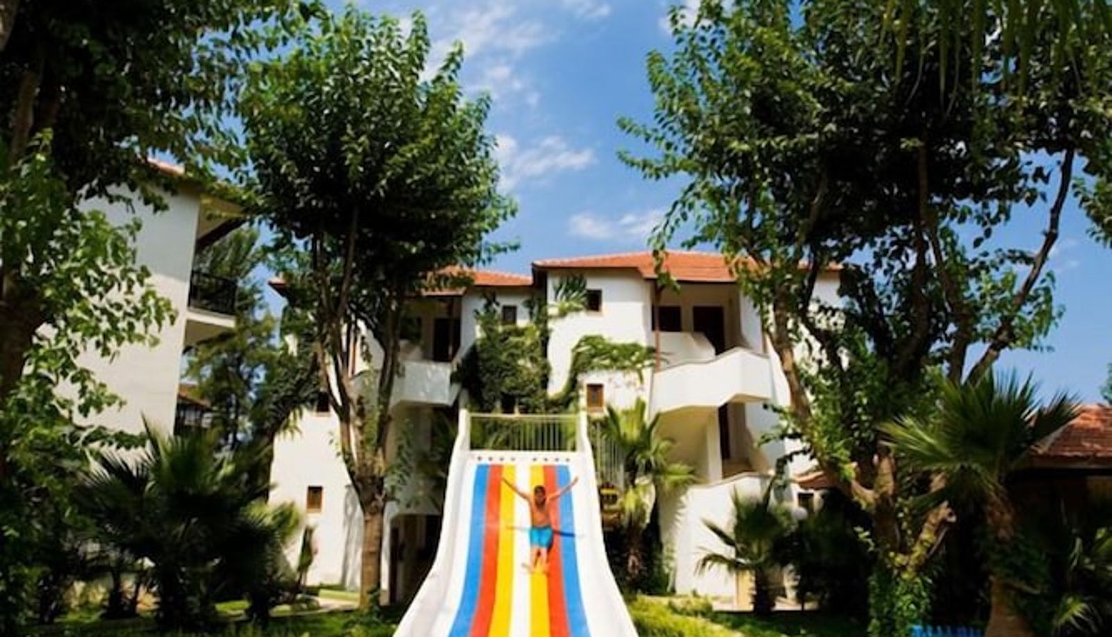 Pool - Blue Pine Hotel