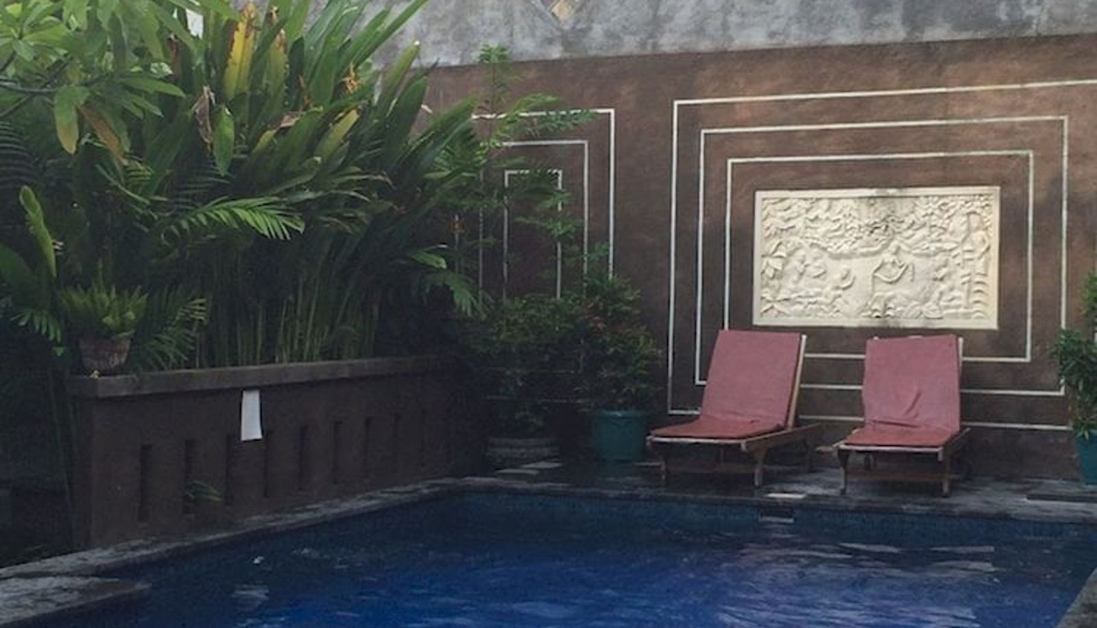Pool - Waringin Home Stay