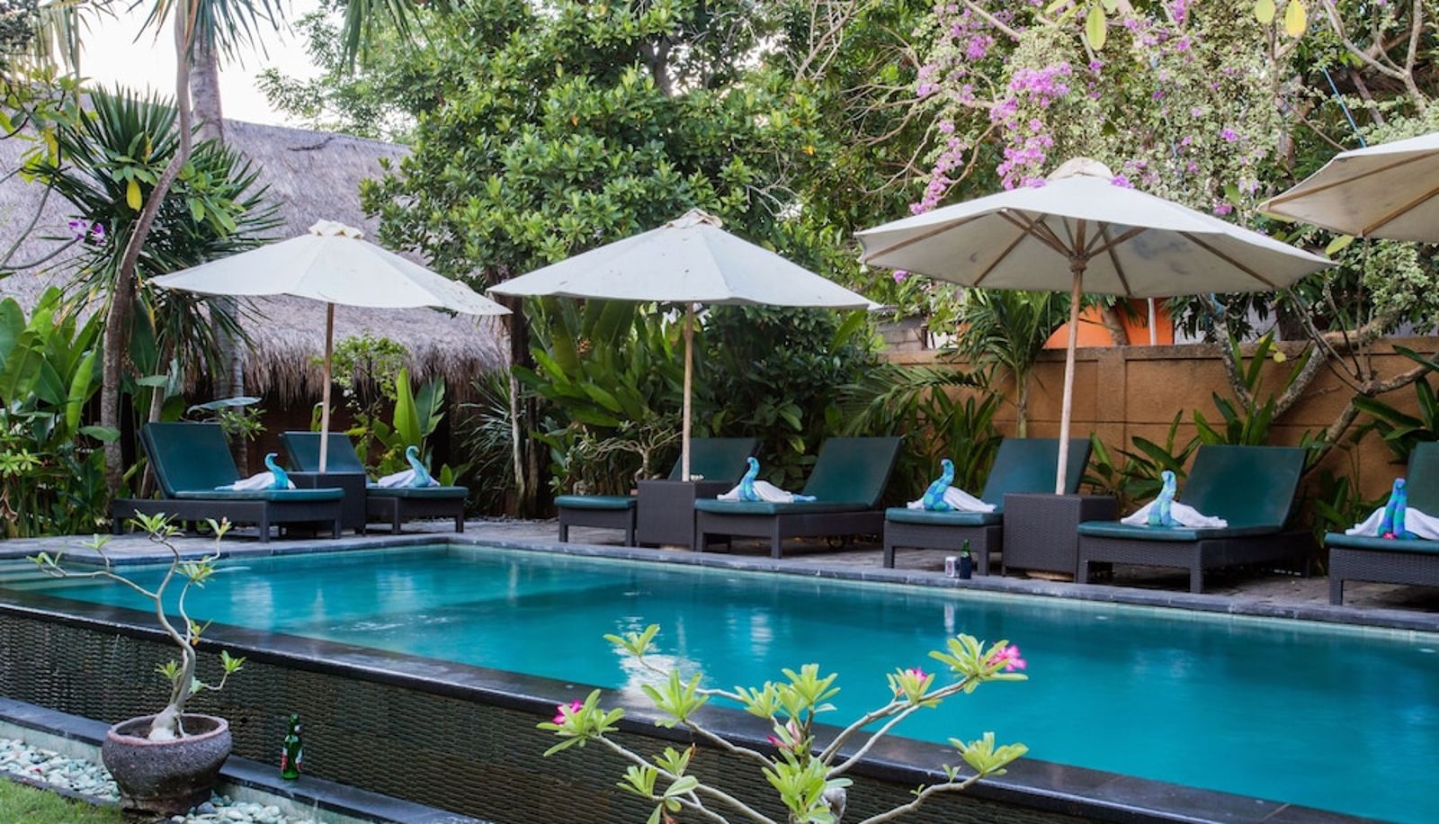 Pool - TS Hut Lembongan