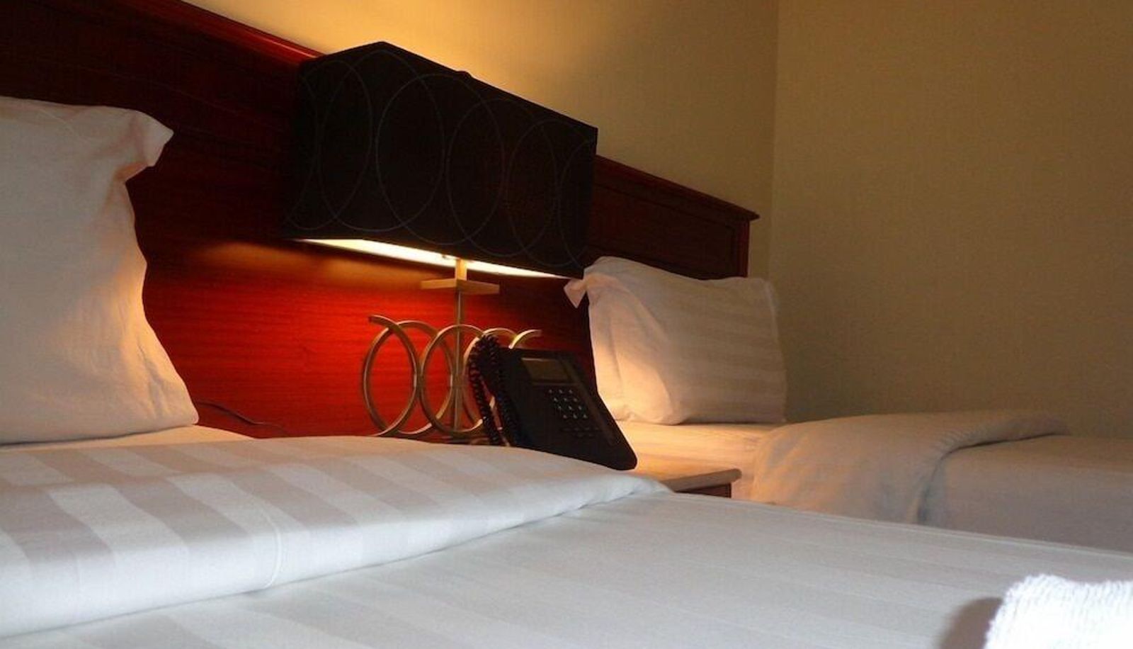 Standard room - Ishraq Al Bustan Hotel