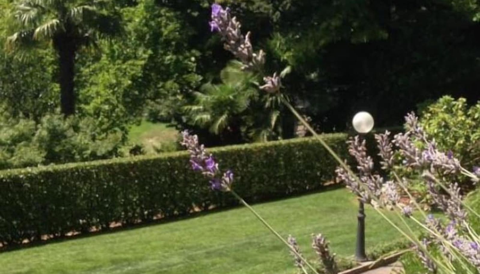 Jardin - B&b Il Pioppo Antico