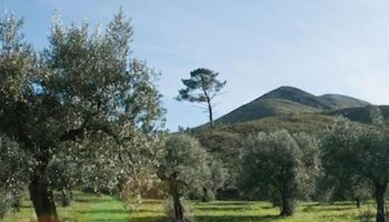 Dintorni - Casa Boho