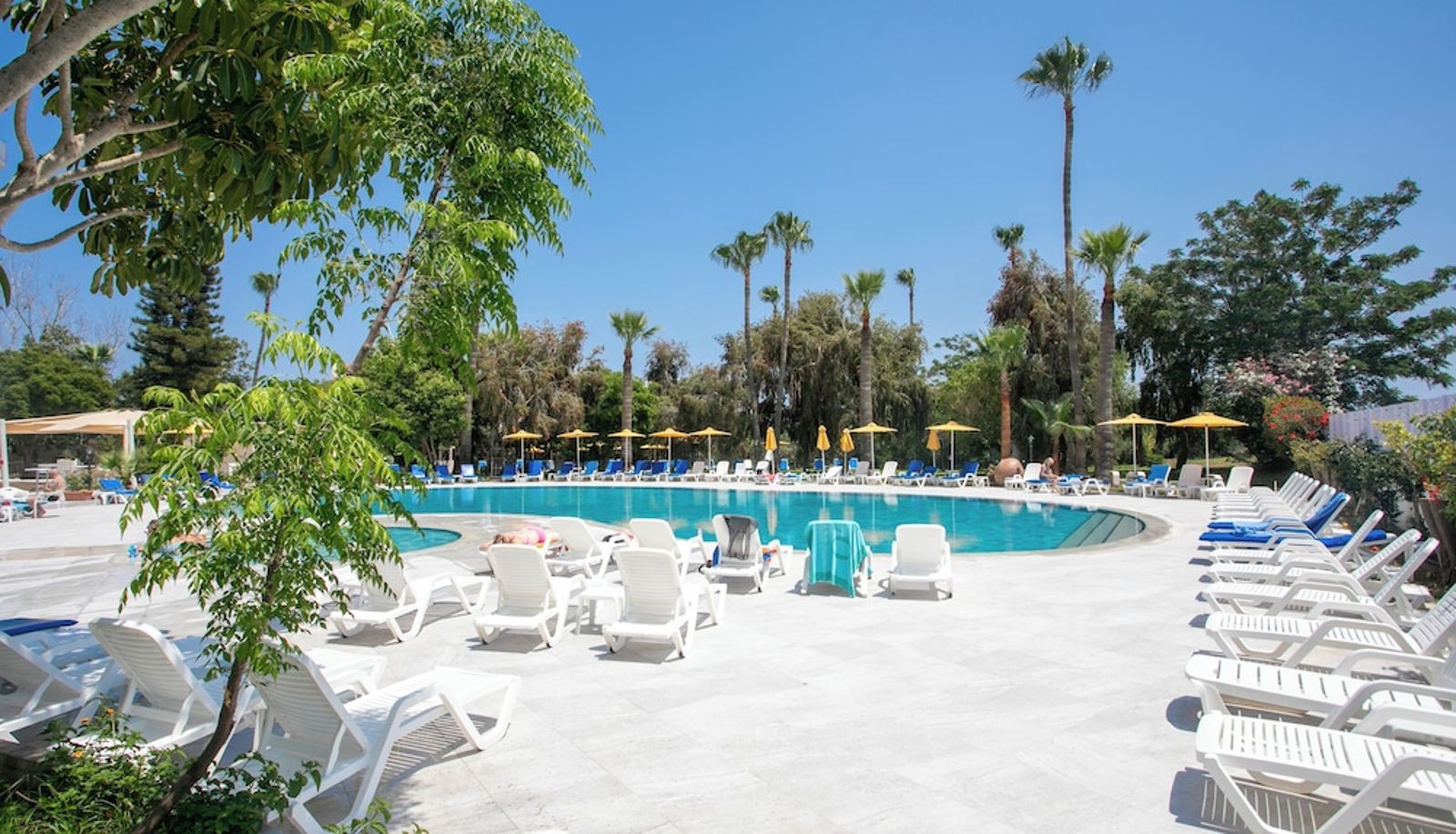 Piscine - Papouis Protaras Hotel