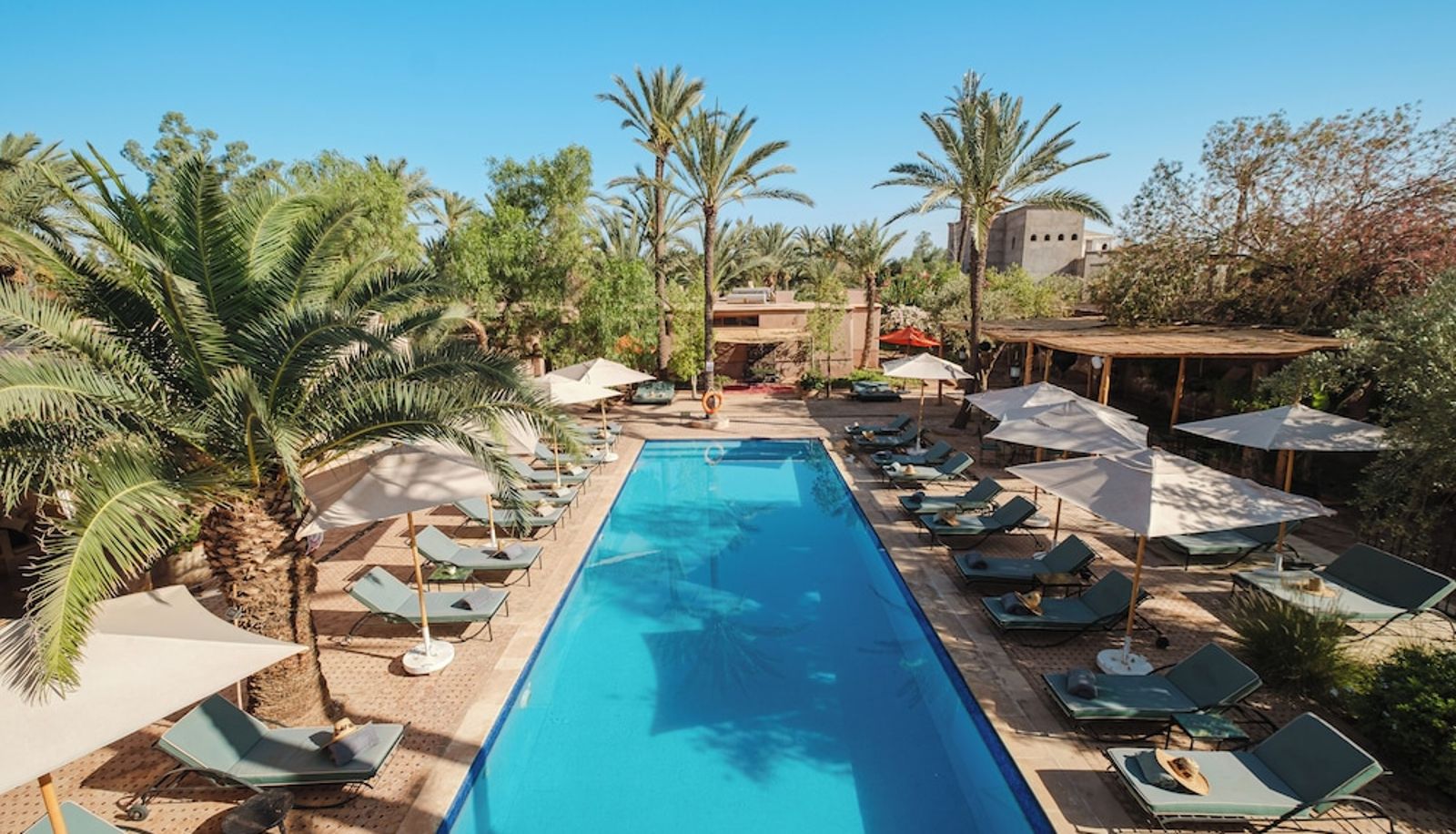 Pool - Dar 55 - Berbere House - Boutique Hôtel Camp; SPA