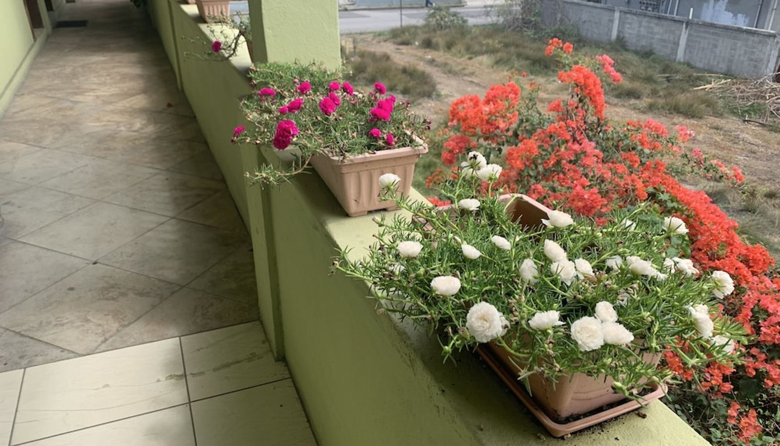 Terras - Touch Therapies Guest House