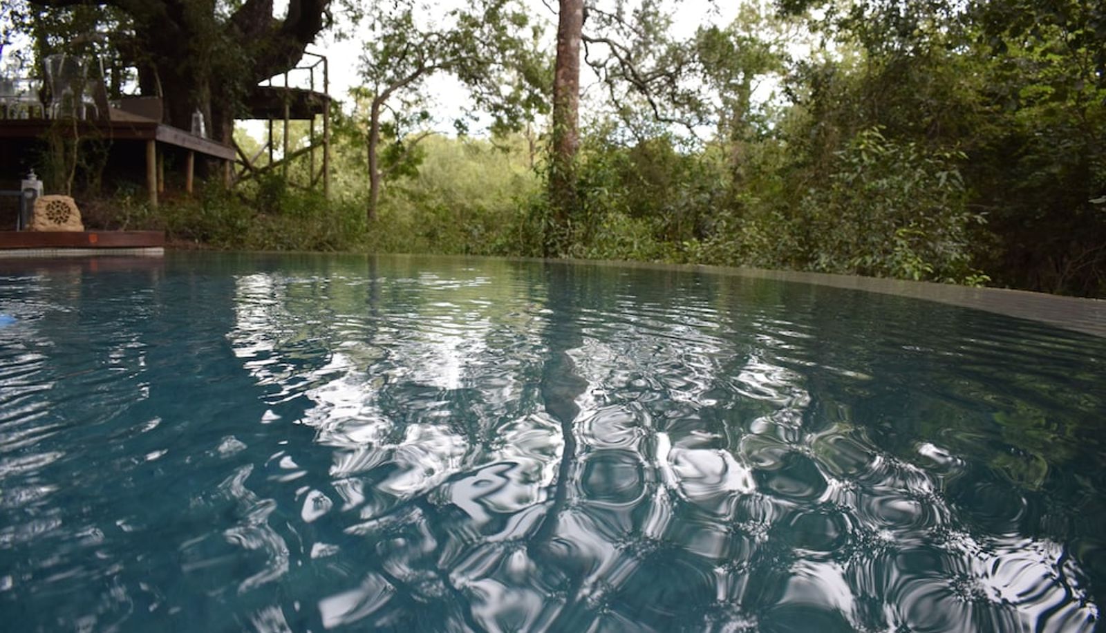 Pool - AM Lodge