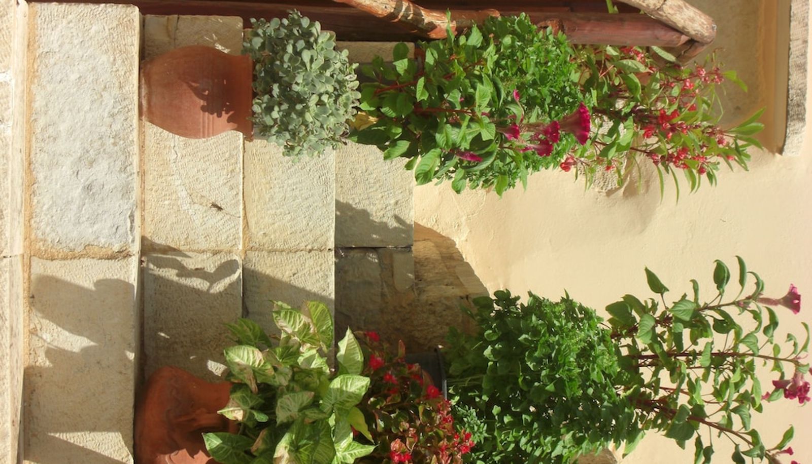 Garden - Patriko Traditional Residence