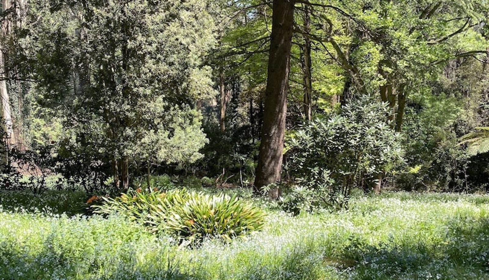 Garten - Lochiel Luxury Accommodation