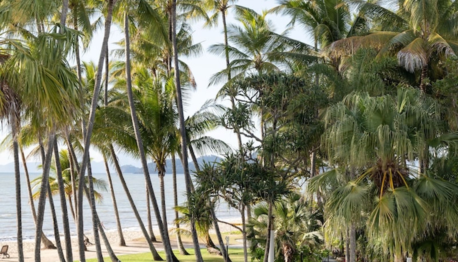 Pool - Alamanda Palm Cove by Lancemore