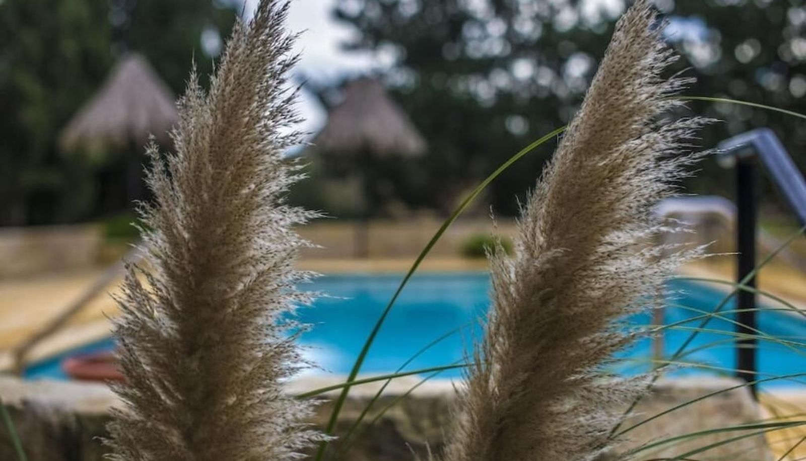 Pool - Ta' Bertu Host Family Bed & Breakfast