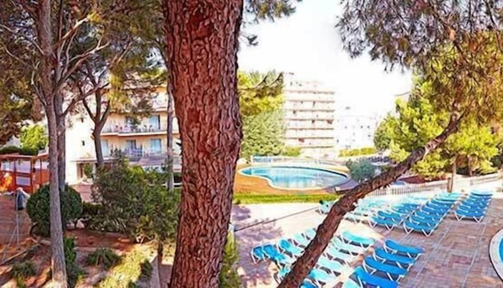 Basen - MLL Sahara Nubia Gobi Bay Hotel