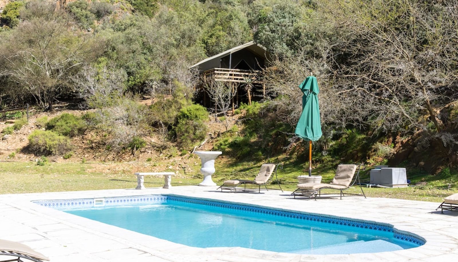 Pool - Oudtshoorn  Working Ostrich Farm & Restaurant Old Mill Lodge