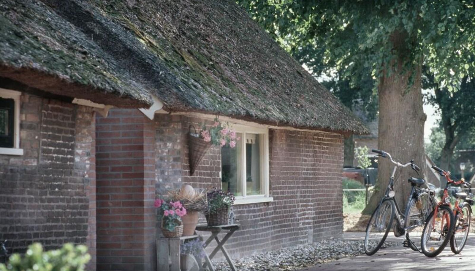 Hotel outdoor area - DroomHotel 't Heinenhoes