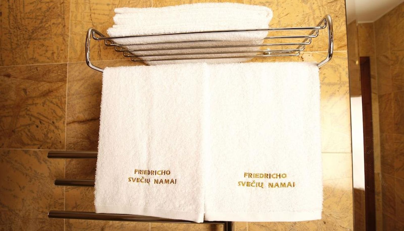 Business-Zimmer - Friedricho Pasazas