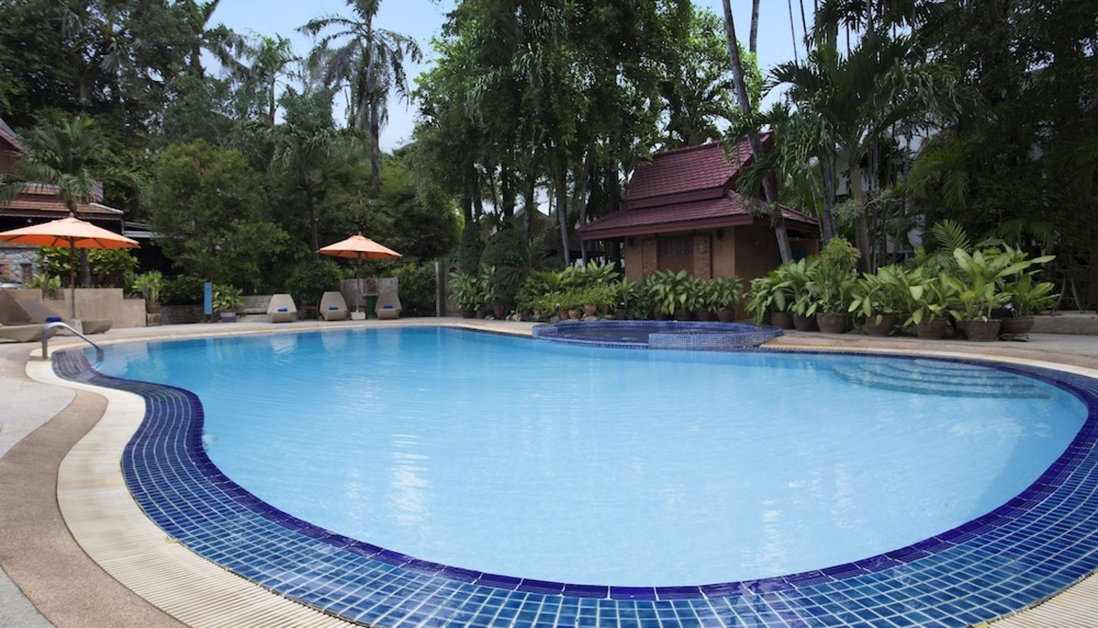 Pool - Safari Beach Hotel