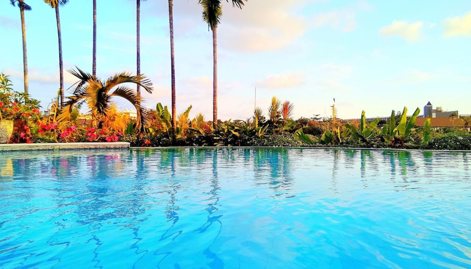 Pool - Nipuri Hotel