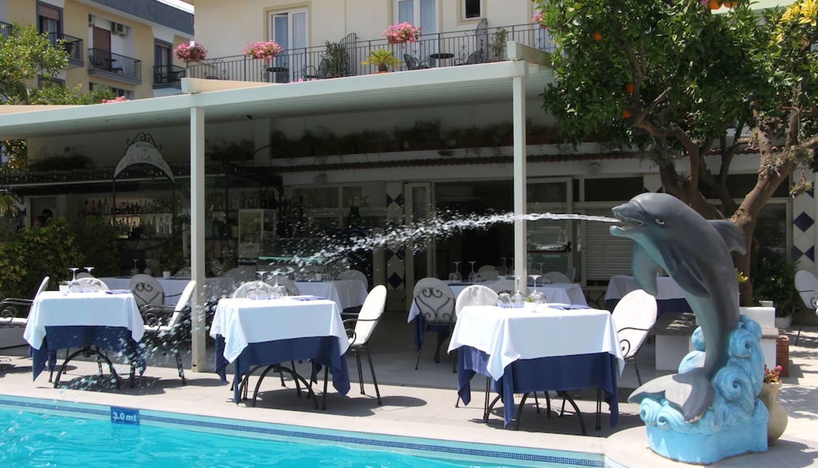 Pool - Hotel Florida