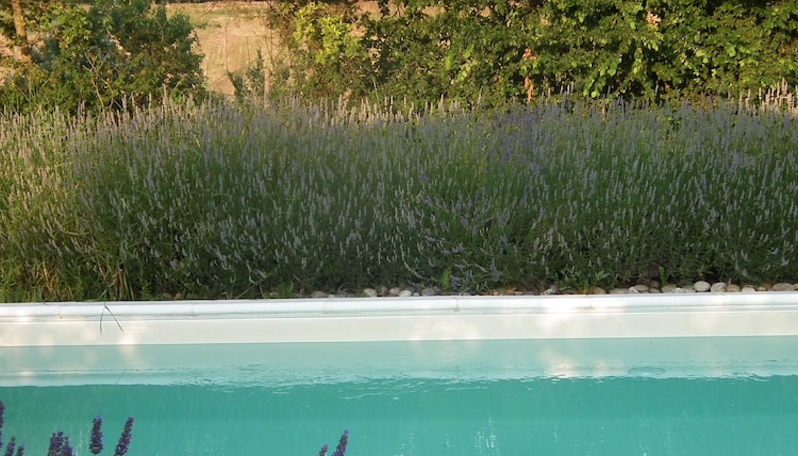 Pool - La Casetta