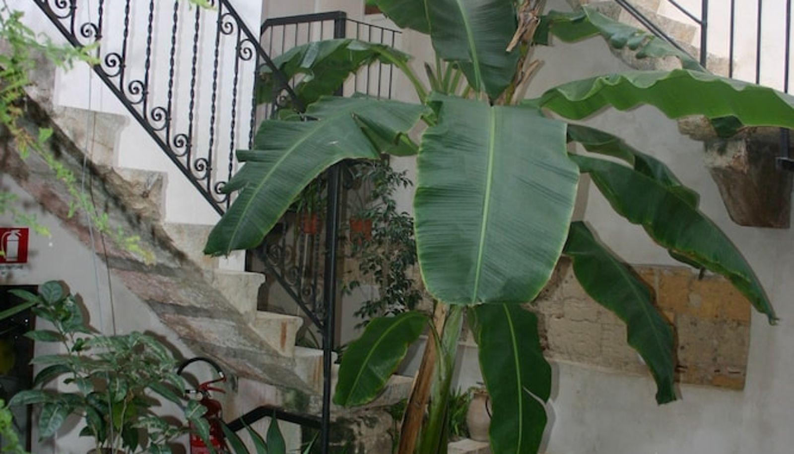 Terrazza - Il Cortiletto