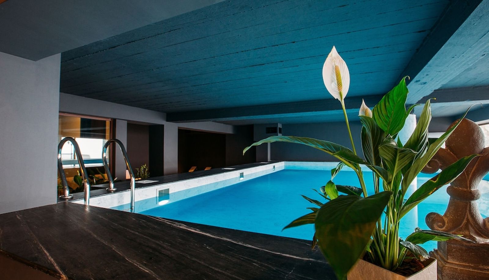 Pool - Hotel Carpe Diem