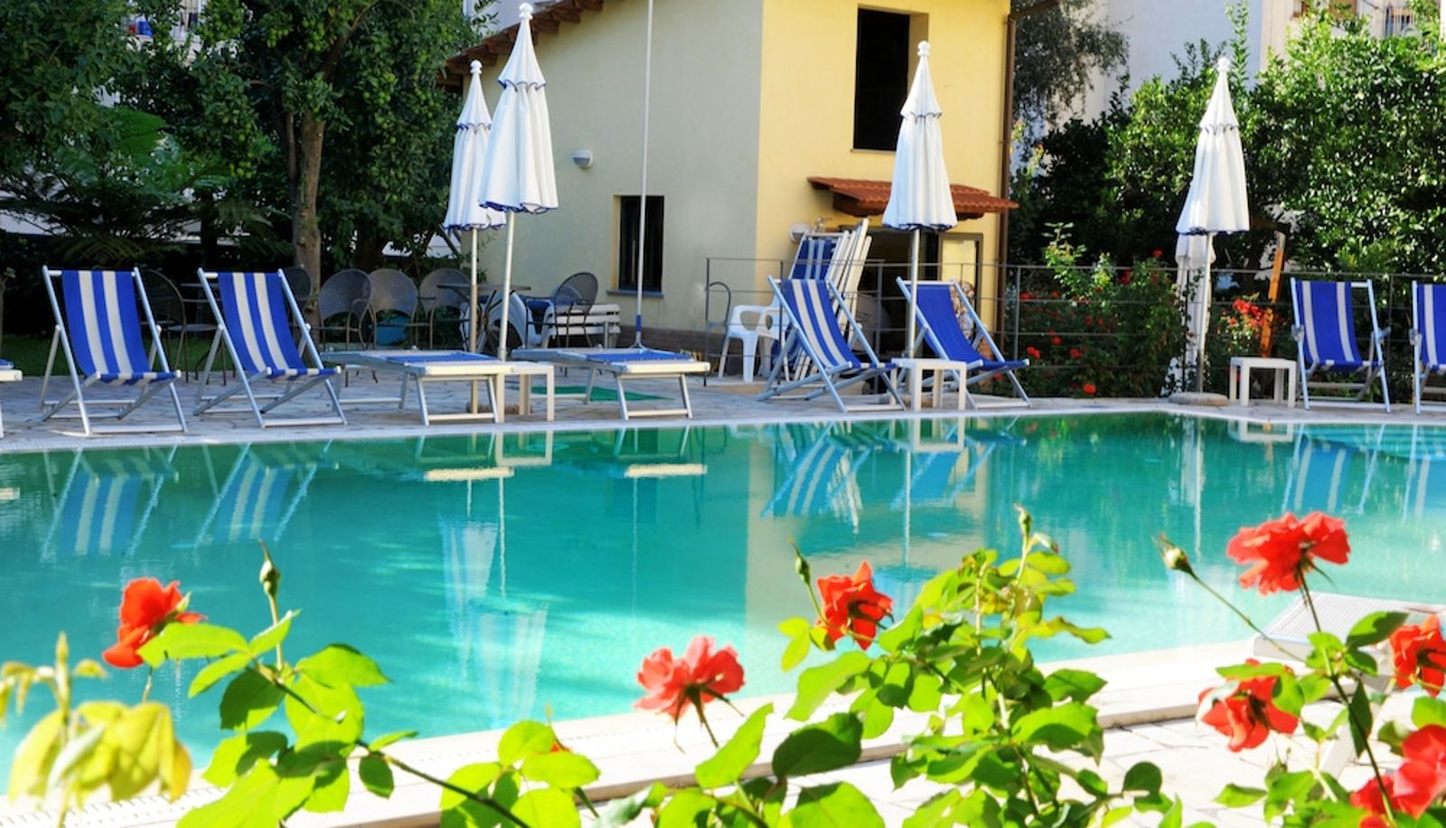 Piscina - Hotel Tourist