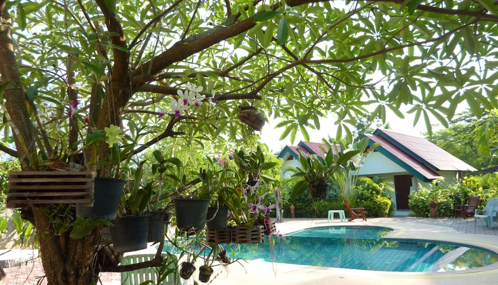 Pool - Ladda Resort