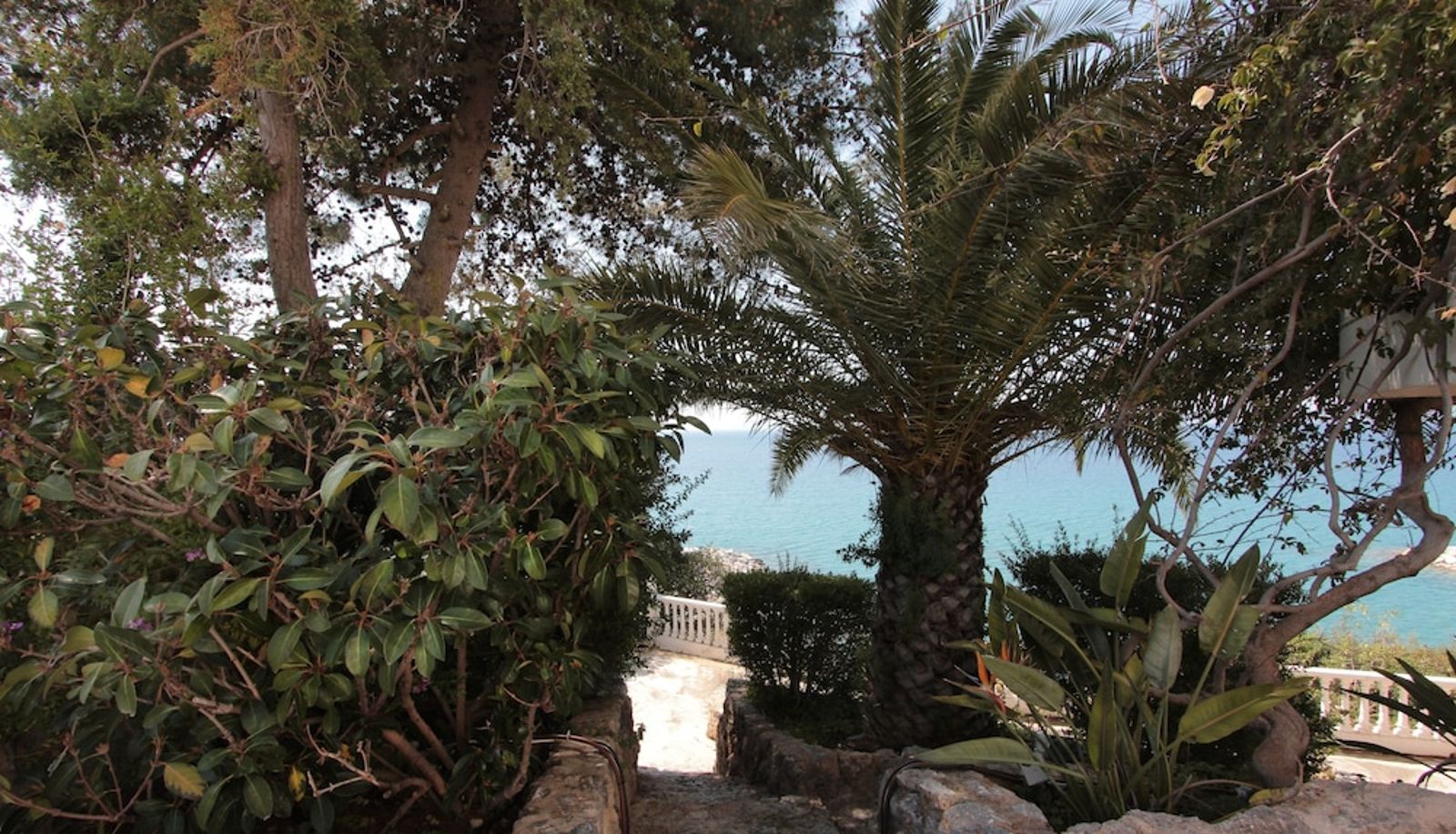 Garden - Apollon Apartments