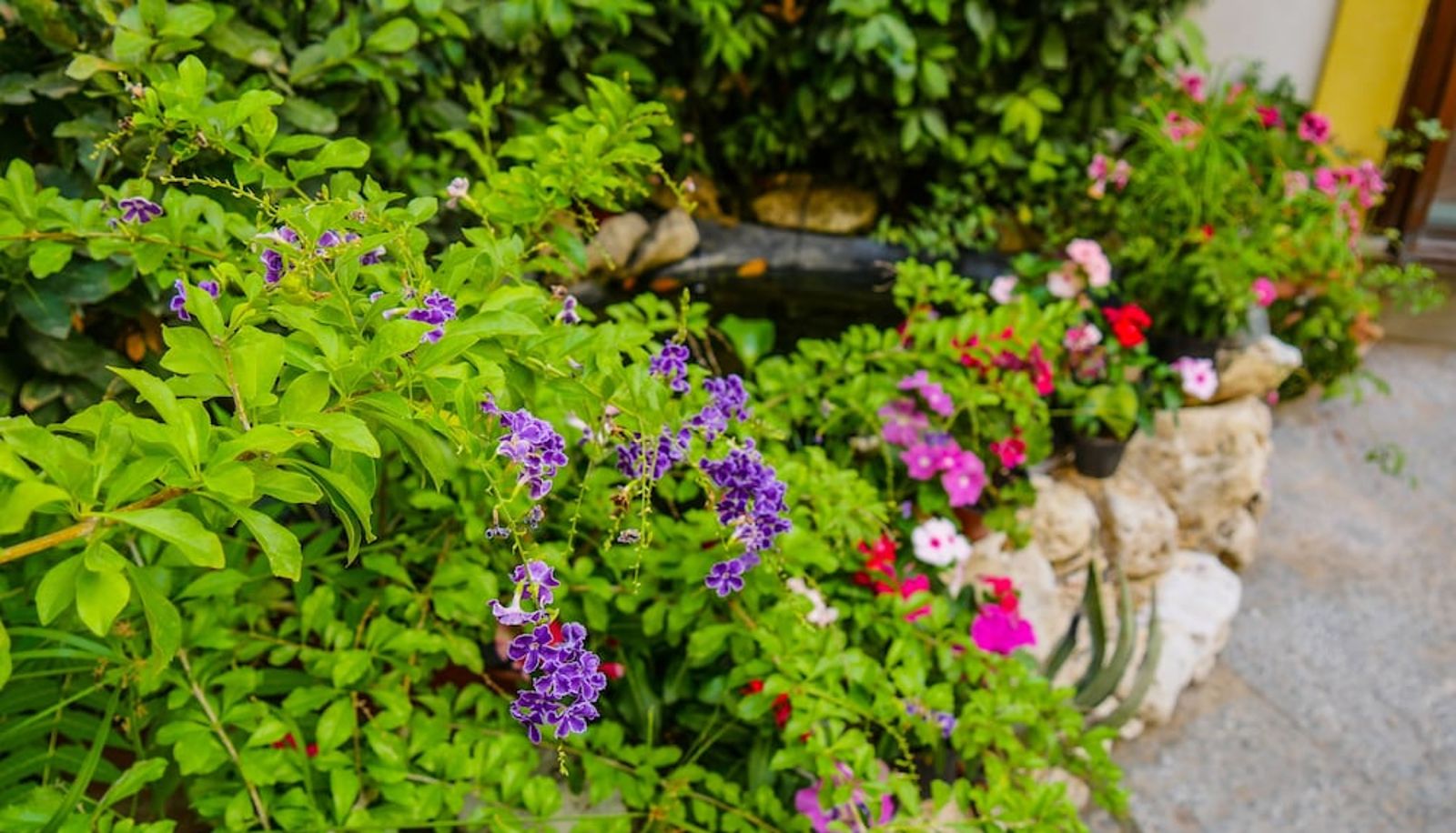Garten - Al Giardino dell'Alloro - Locazioni Turistiche