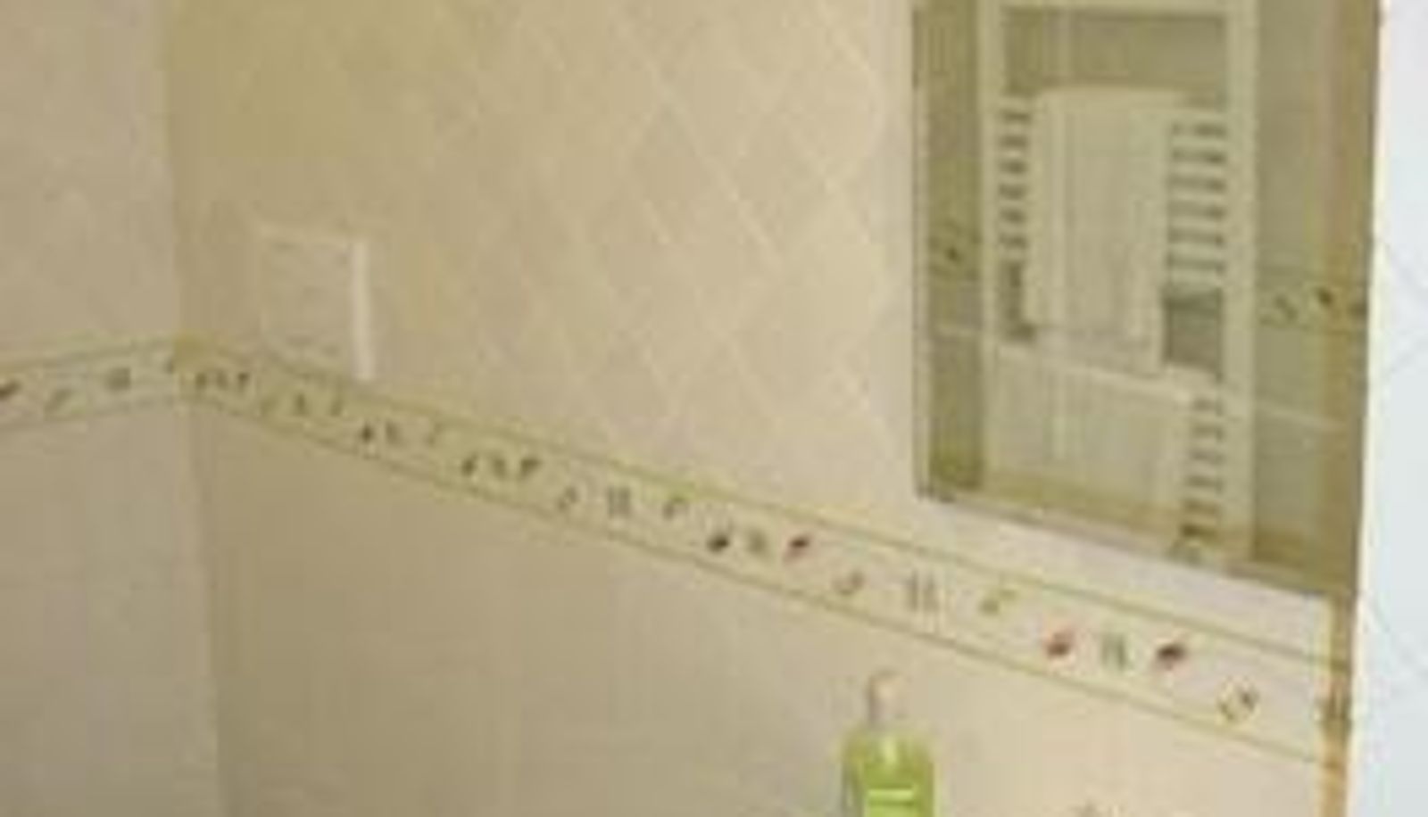 Bathroom - Il Tulipano