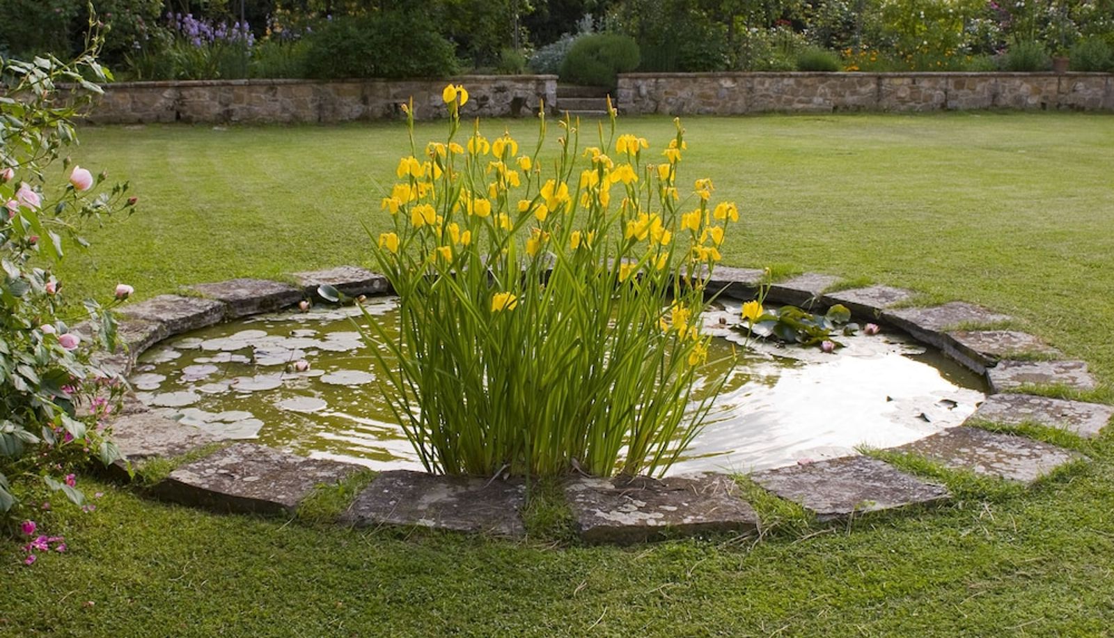 Jardin - Villa Malavolta