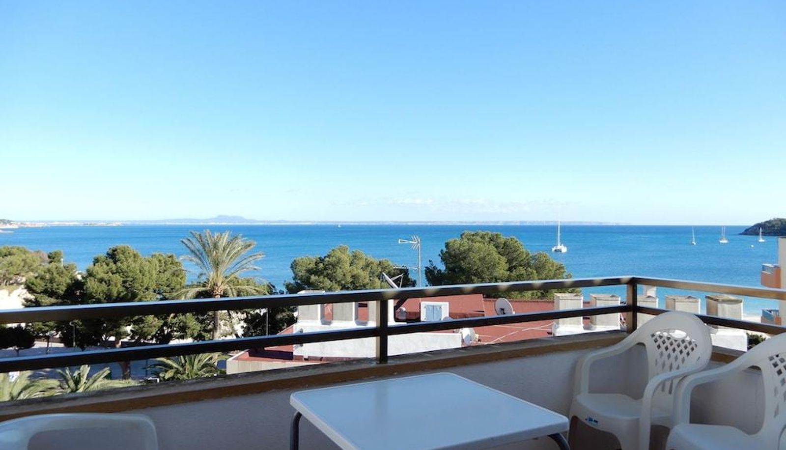 Appartement - Marina Palmanova Apartamentos