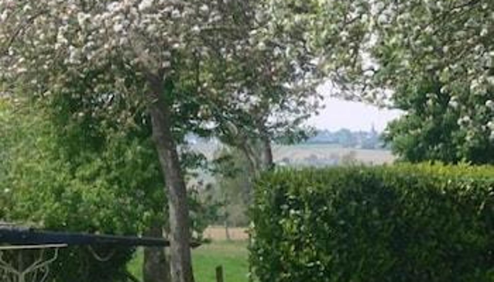 Area esterna dell'hotel - Le Jardin B and B