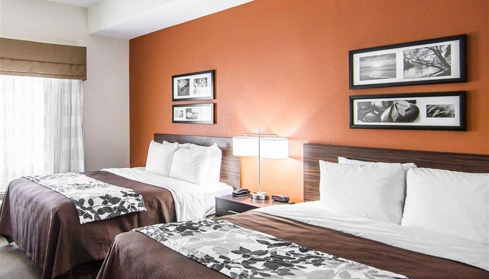 Zimmer - Sleep Inn Lufkin