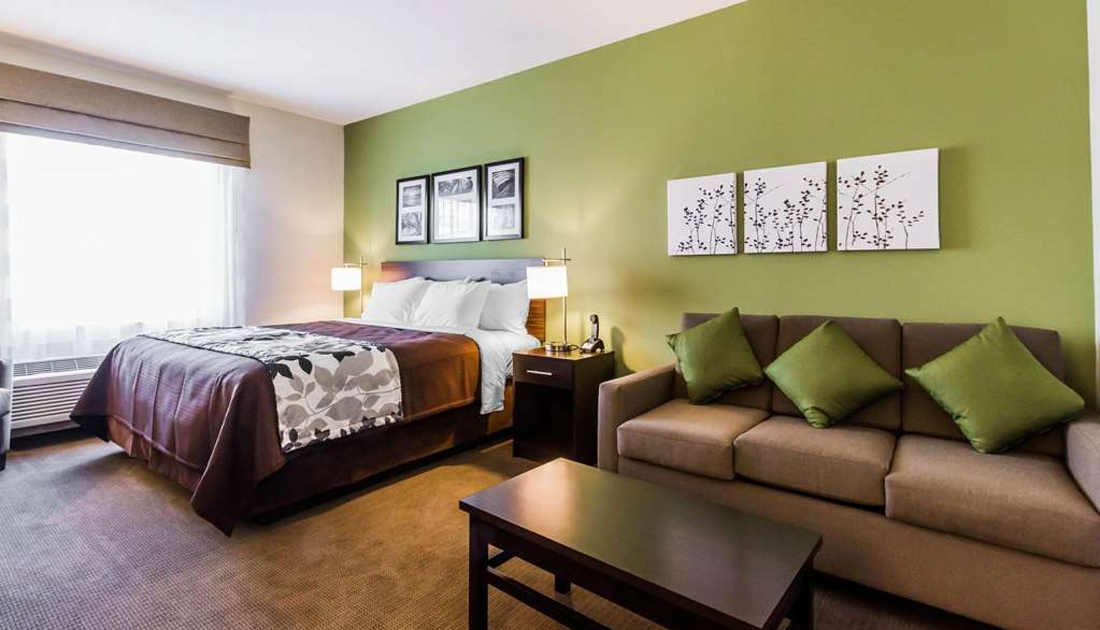 Room - Sleep Inn & Suites Odessa near University